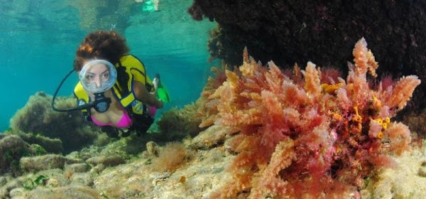 Fotosub 2016 Las Palmas de Gran Canaria Fotosub 2016 Las Palmas de Gran Canaria
