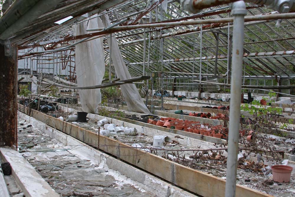 Waterbury Thoughts Fulton Park Greenhouse