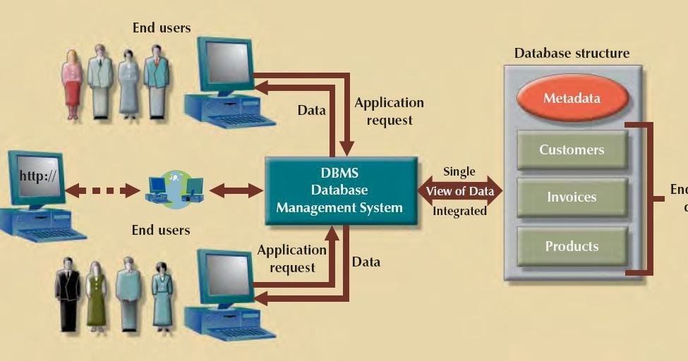 Preparing metadata. Database Management System. Database application. Database and DBMS.. Database structure.