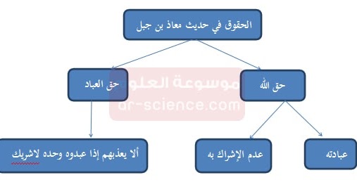 لغتي متوسط حقوق الراعي والرعية ثالث اسئلة اختبار