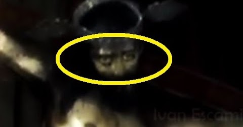 Христос открыл глаза. Статуя иисуса с человеческими зубами. Монастырь джвари икона иисус моргающий. Статуя иисуса открыла глаза. Статуя иисуса открыла глаза.