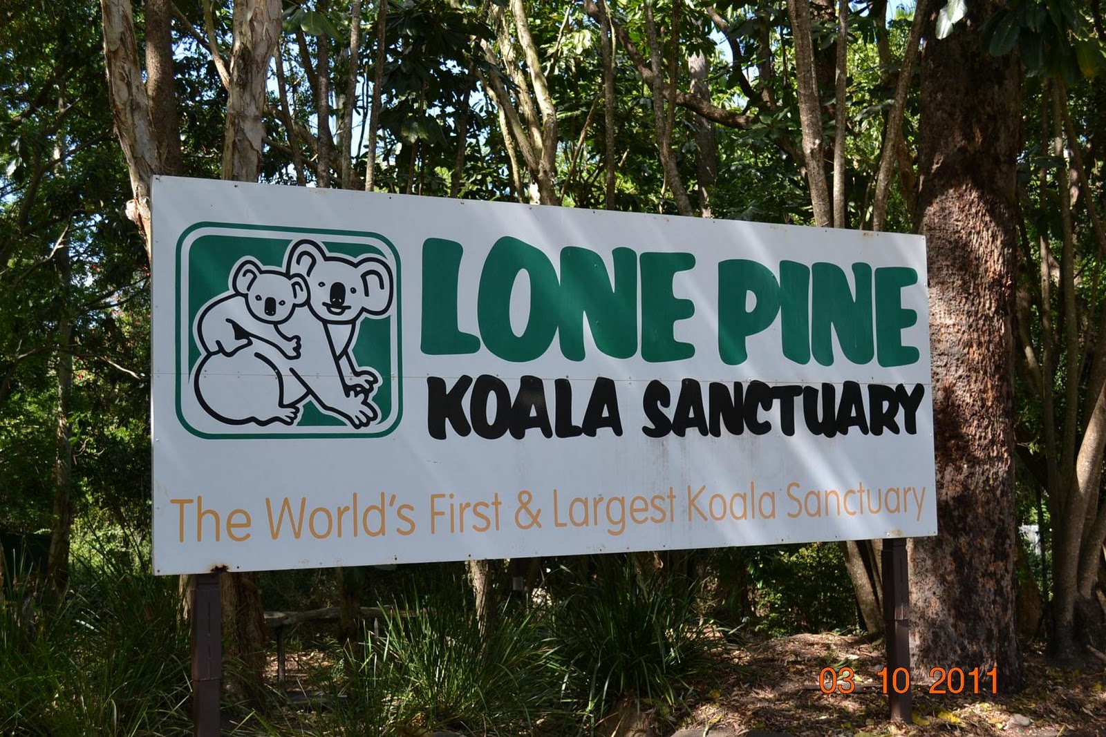 Jaded Nomad RV ADVENTURE Brisbane Part 1 Lone Pine Koala Sanctuary