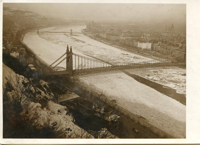 This is What Elisabeth Bridge, Budapest Looked Like  in 1925 