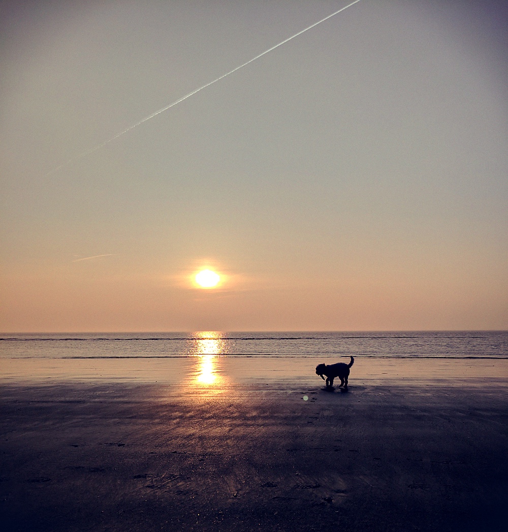 Wild Freizeitpark Ostrittrum Bidilis Welt