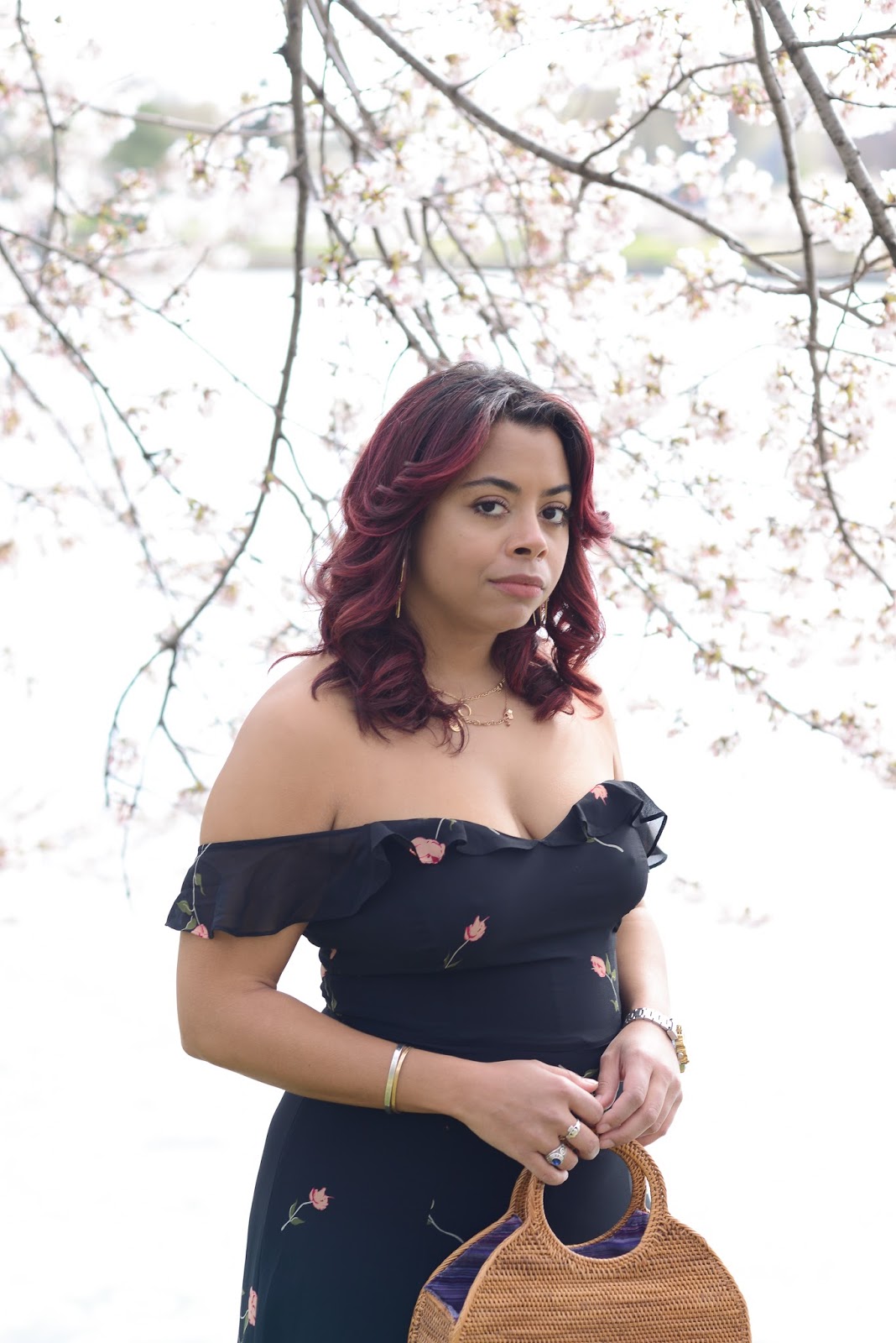 Coachella But Not Because Sometimes Dc Is Better Good Red Herring