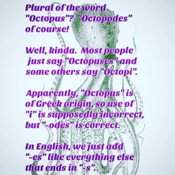 Its Trouble... Plural of the word "Octopus"? "Octopodes" of course