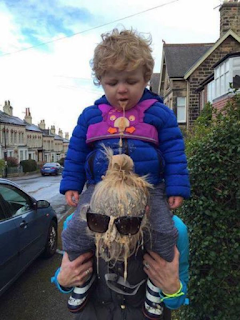 piggy back fail toddler vomits onto mothers head funny
