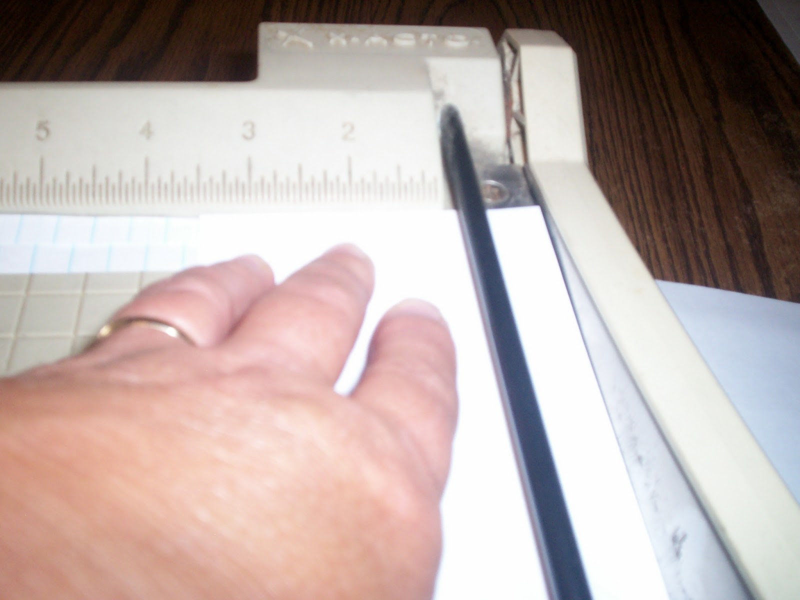 I Create Purty Thangs Quilling Strips Storage