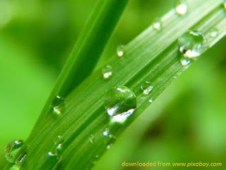 Ketersediaan Sumber Air Bersih (Fresh-Water Resources) Ketersediaan Sumber Air Bersih (Fresh-Water Resources)