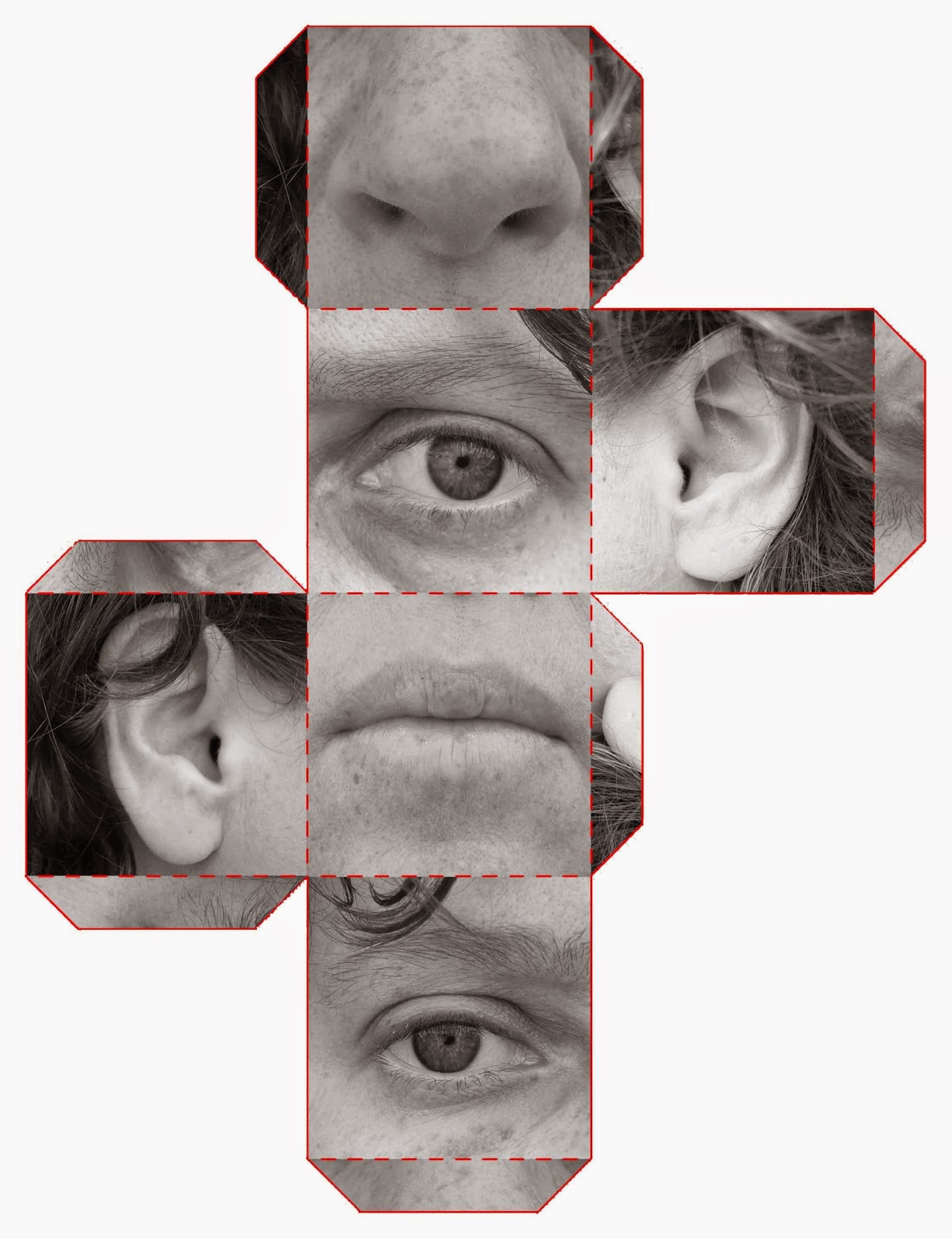 TIMBERWOLF PHOTO LOUNGE 2 PROJECT 6 CUBE FACE