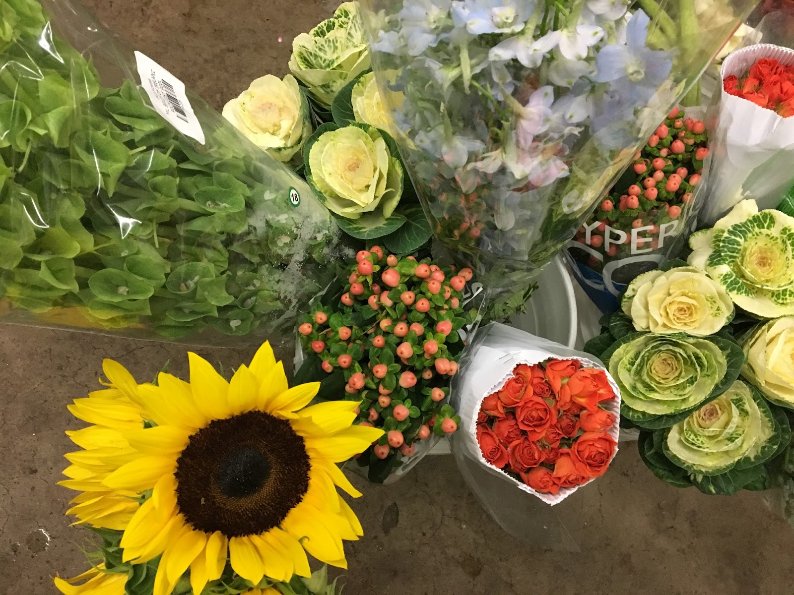 Rowan's Story Part 5 "The Flowers"