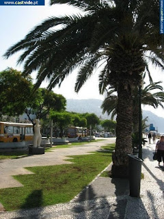 CITY / Ilha da Madeira, Funchal, Portugal
