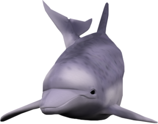 Delfin_1.png