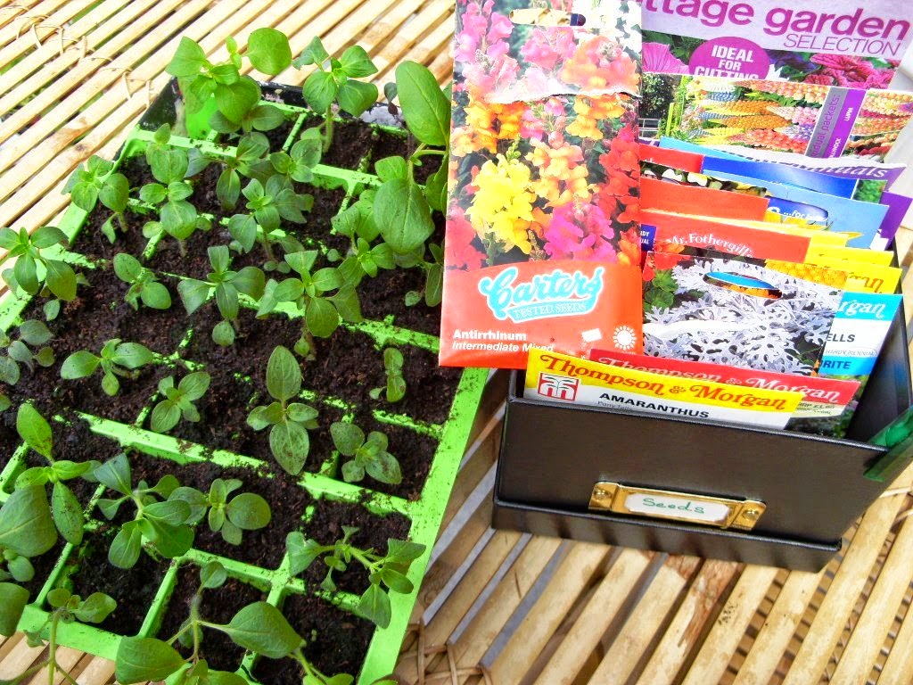 çiçek ekme yöntemleri