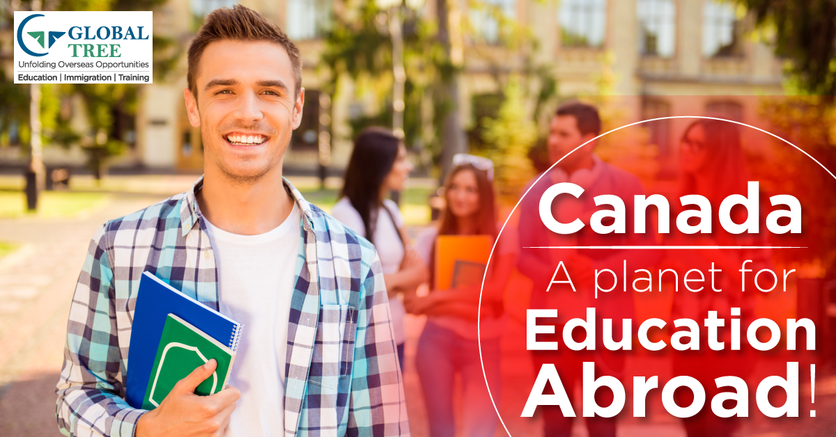 5 reasons why you need a Canada education consultant Global Tree