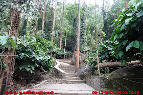 Edakkal Caves near Wayanad Kerala