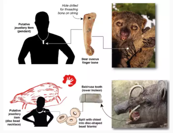 Temuan Ornamen Prasejarah Di Sulawesi Ungkap Budaya Simbolik Kuno