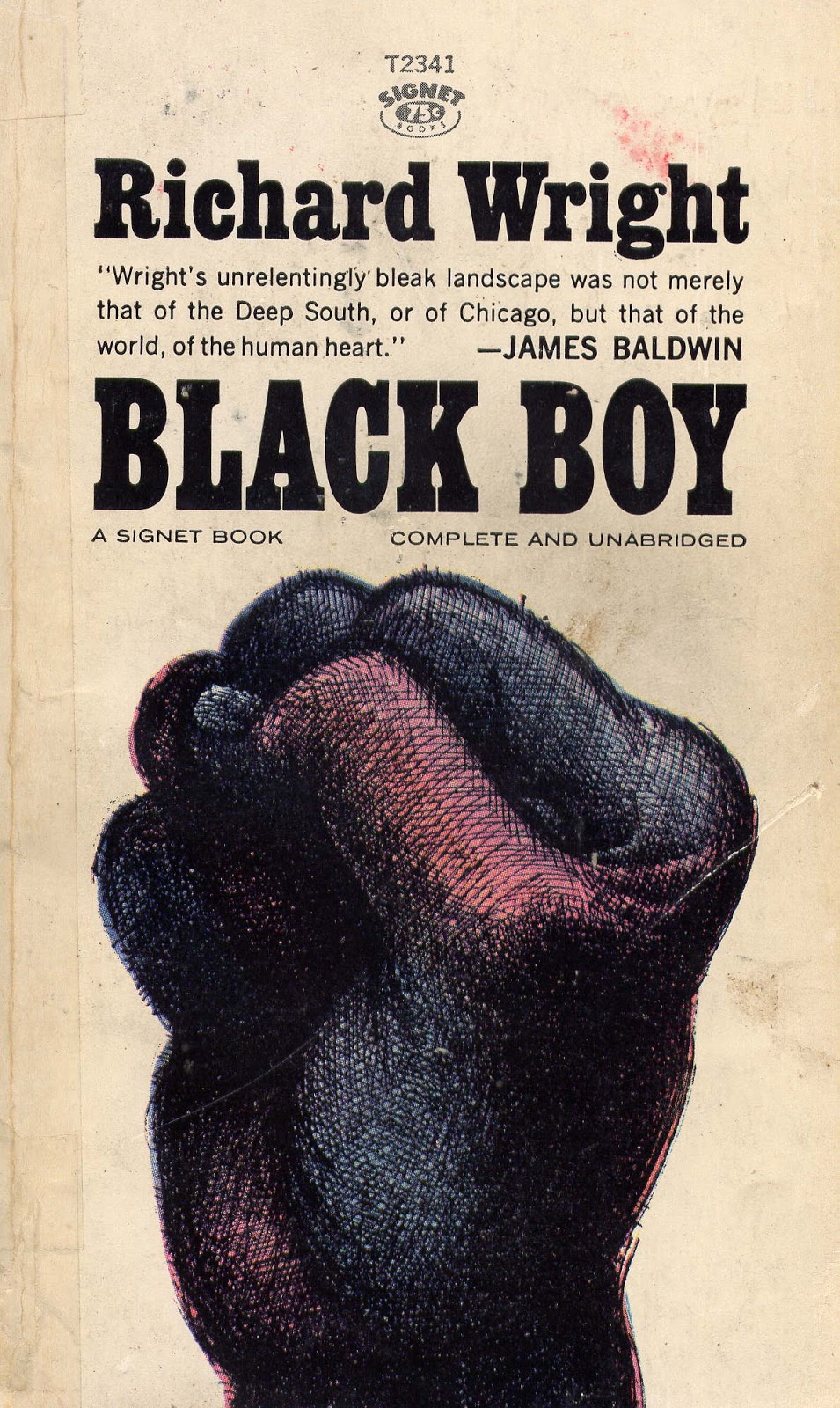 The sufferings of the author in the book black boy by richard wright