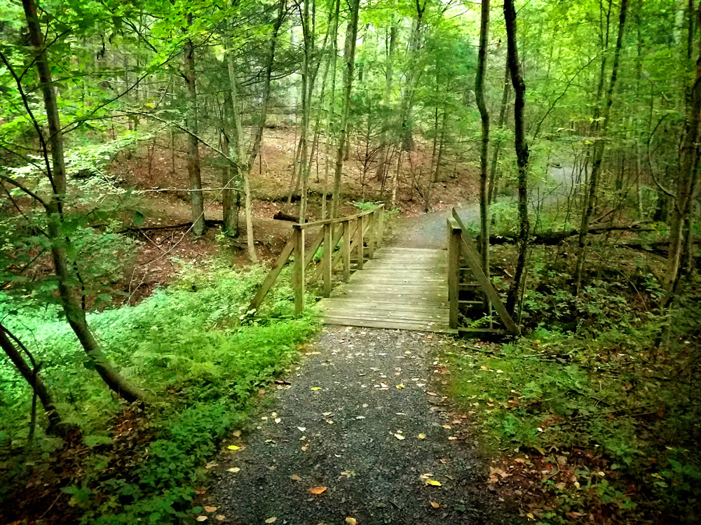 Hiking Trails in NJ and PA Hiking the Cliff Trail to the Hackers Falls