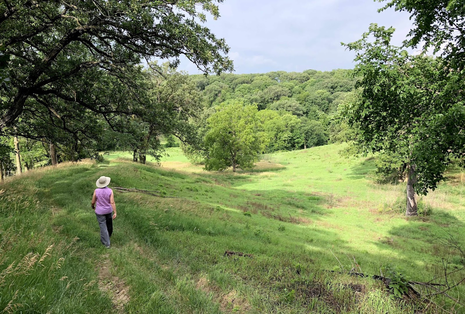 Wandering His Wonders Council Bluffs, Iowa, and Hiking the Loess Hills