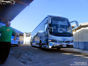 Autotransportes Aguila - Gallery 2 @ Autobuses Digitales MX • Bus & Coach  Digital Imaging