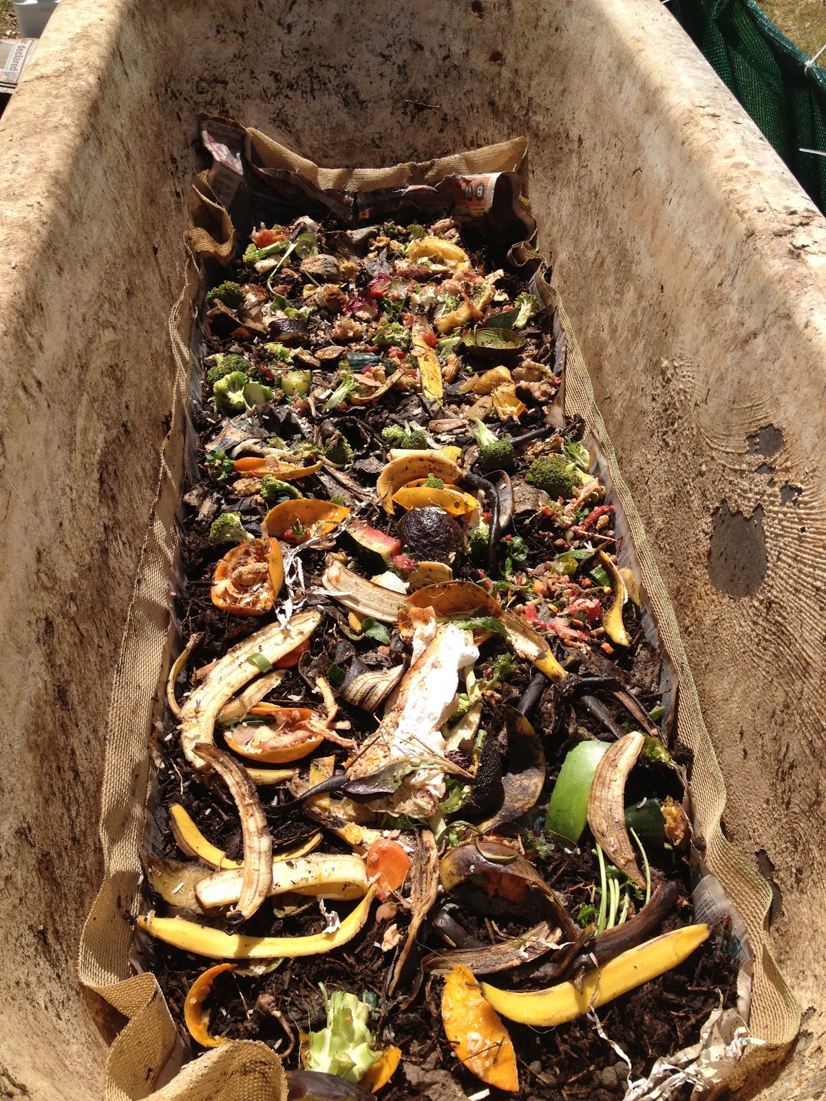 Kyabra Learning Centre, Kentucky, NSW, Australia Creating Loving Worm