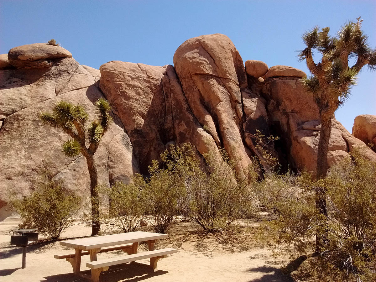 Joshua Tree National Park - Greg in San Diego