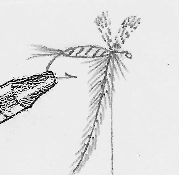 Fly Fishing with Doug Stewart: Tying The Professor Dry Fly