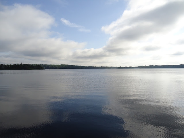 DSC02375.JPG