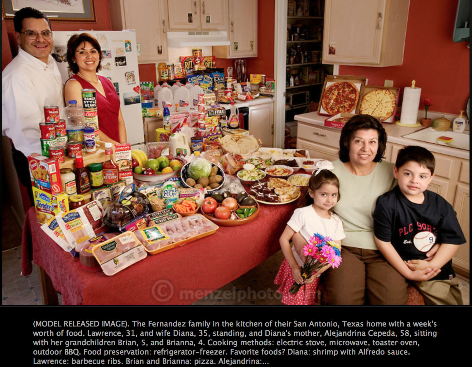hungry planet what the world eats peter menzel hungry planet