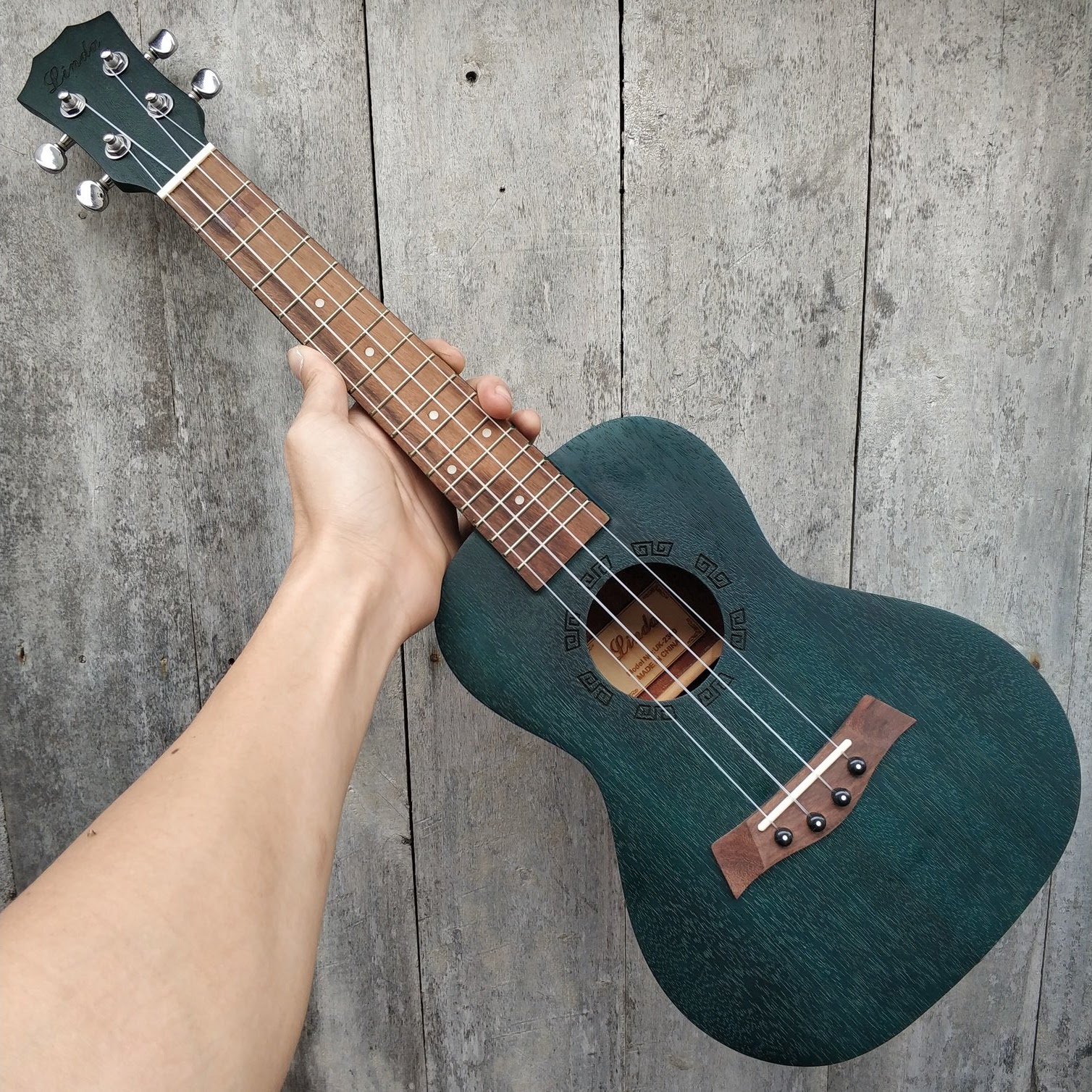 dan ukulele lasson đàn ukulele concert lasson