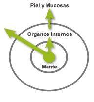 Homeopata para bajar de peso en lima