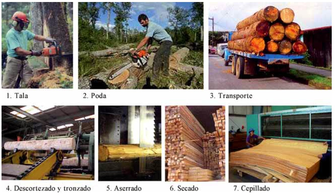 La madera... Mind Map