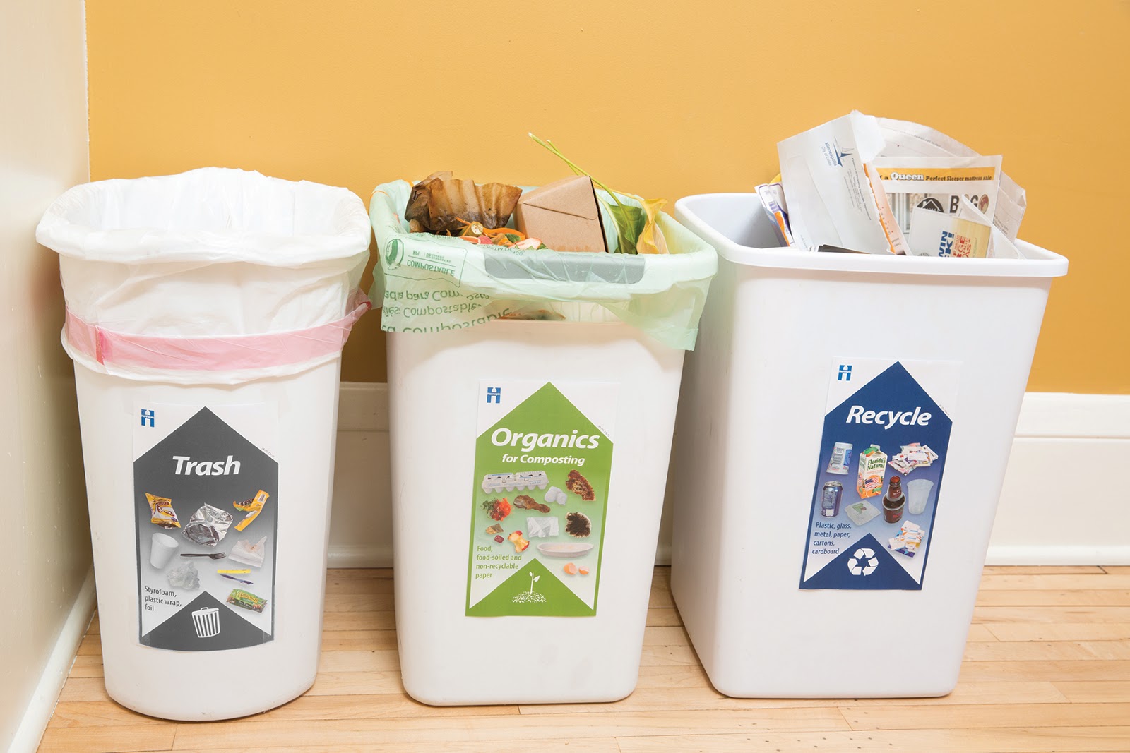 Rubbish Removal Tips & Services