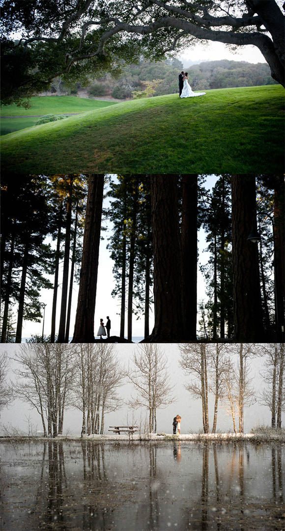 Les aventuriers de la vie: Paysages de mariage