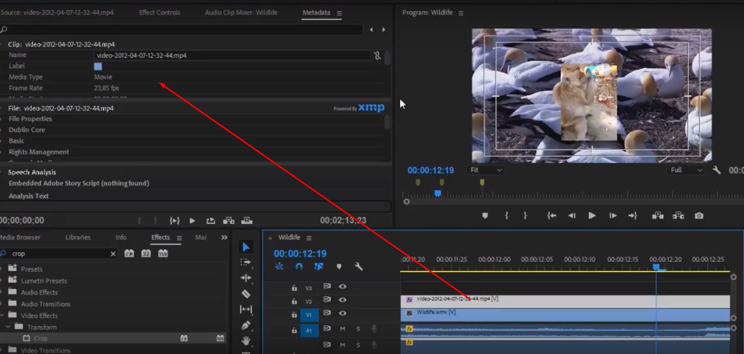 Soal Tentang Adobe Premiere Beserta Jawabannya Belajar Soal