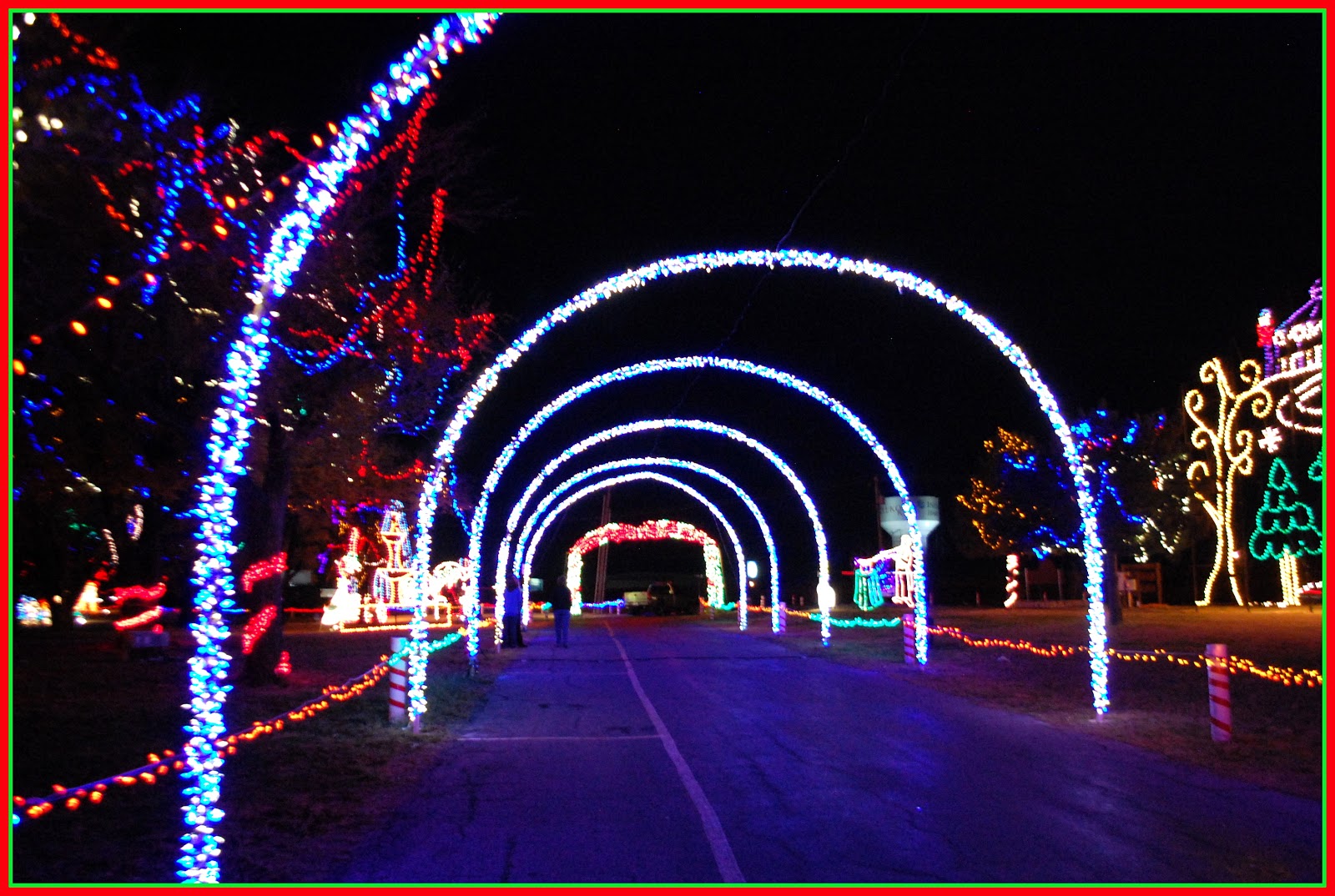 Shutterbugs Capturing the World Around Us Christmas In The Park