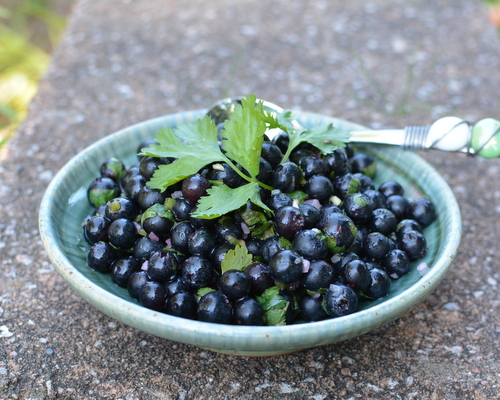 Blueberry Salsa ♥ KitchenParade.com, fresh, fruity savory fruit salsa for summer. Low Carb. Weight Watchers Friendly. Whole 30 Friendly.