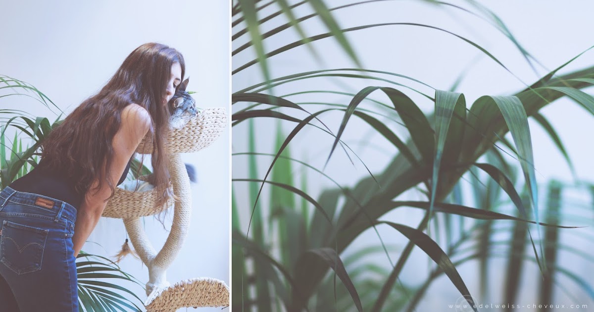 La cote des meilleurs masques pour les cheveux 2016