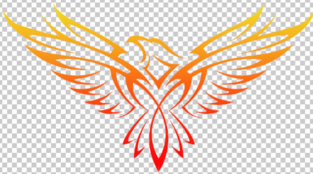 Desain Logo Vektor Tutorial Cara Membuat Vektor Gambar Burung