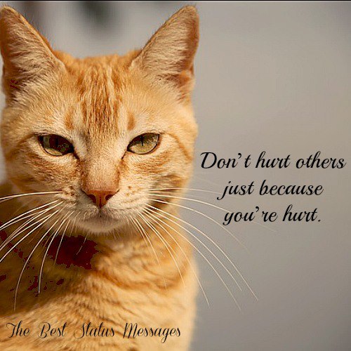 Don't hurt others just because you're hurt. | I Share Quotes
