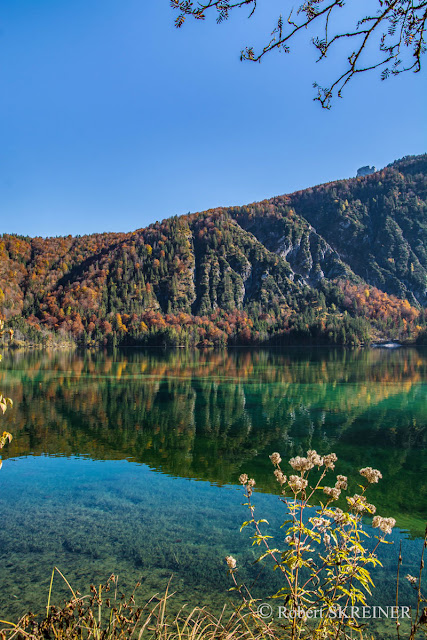 Robert SKREINER - Blog