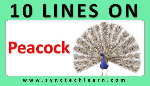 10 lines on peacock in english
