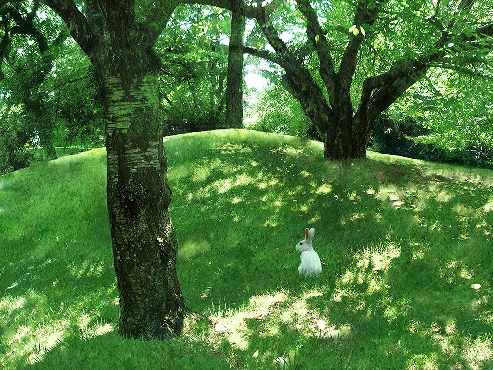 ÐšÐÑÑÐ¸Ð½ÐºÐ¸ Ð¿Ð¾ ÐÐÐ¿ÑÐ¾ÑÑƒ ÐšÑÐ¾ÐÐ¸ÐºÐ¸