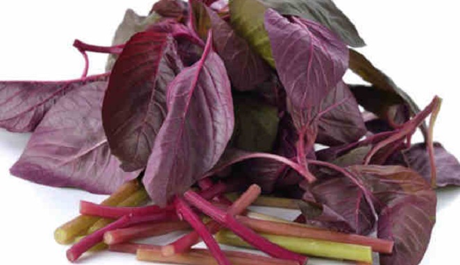 Resepi Masak Sayur Bayam Merah Masak Memasak