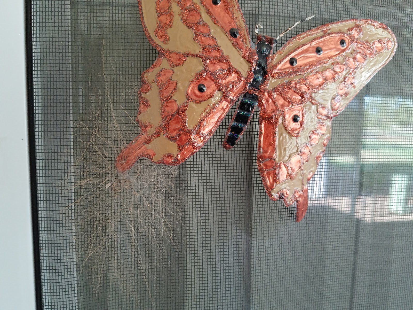 Palm Creek Update Dust, spiders, and a beautiful view