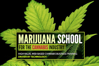 Online cannabis education