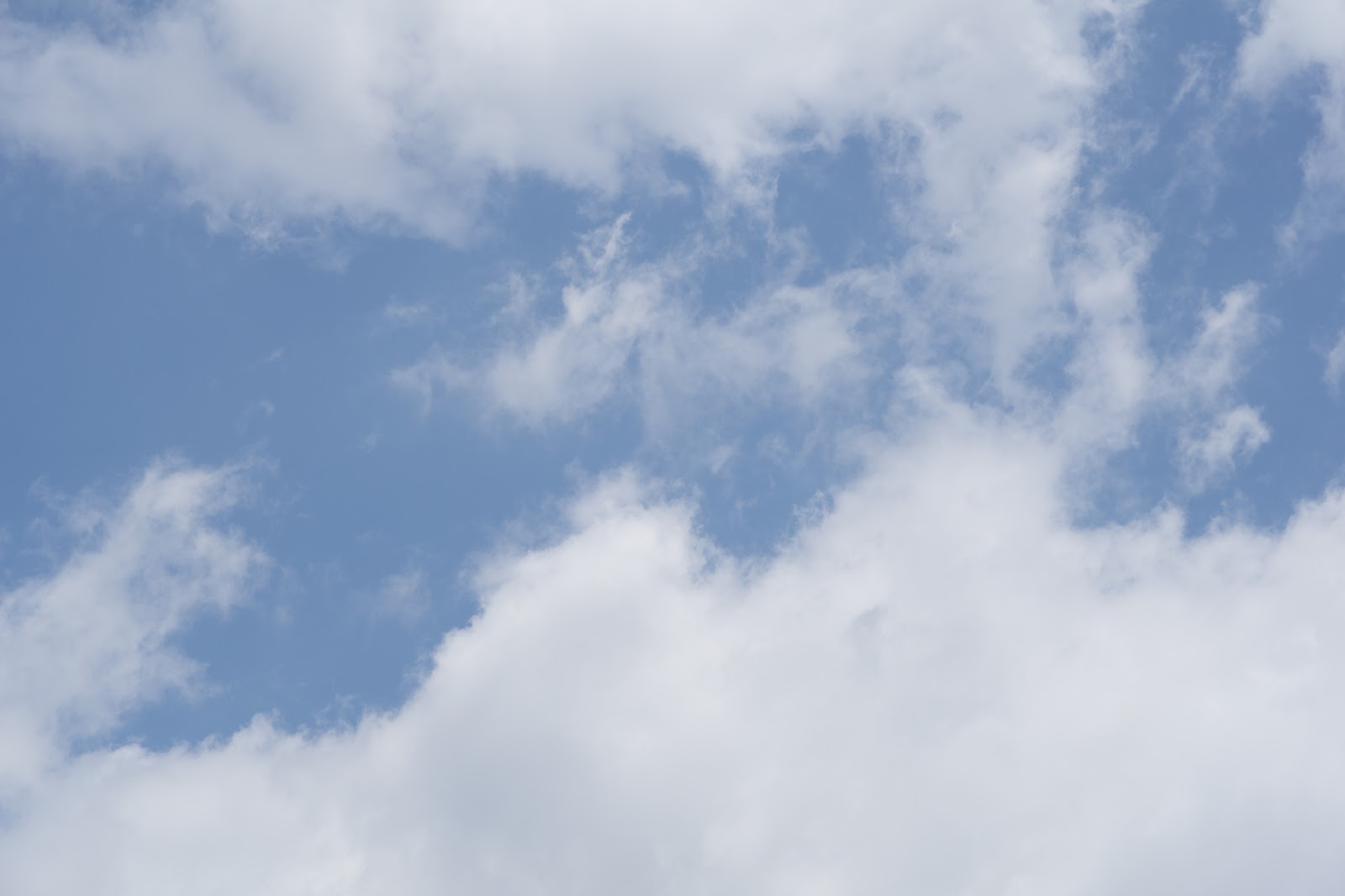 自然のフレーズ