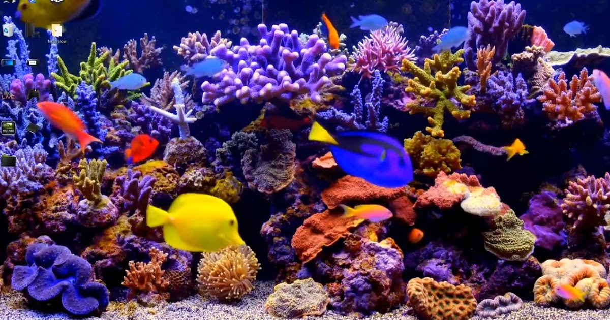 Best aquarium screensaver - rassources