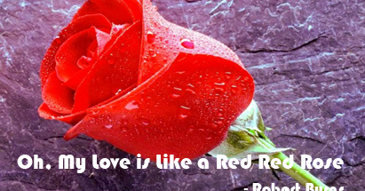 Oh, My Love Is Like A Red Red Rose | Question Answers | Summary | WordMeanings | Raj's BLOG | Informative and Blog Nepal!-Blogger Tips, Educating Nepal,Lok Sewa Ayog,Nepali-Music Movies